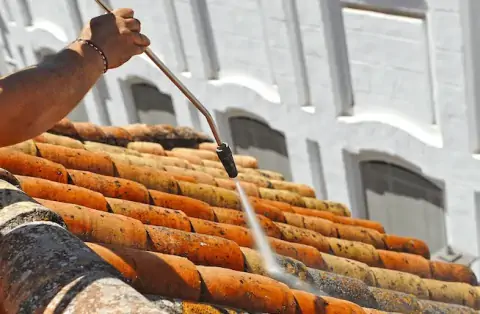 Nettoyage de toitures - Vineuil